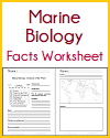 Marine Biology Fact Sheet DIY Infographic Worksheet Marine Biology Fact Sheet DIY Infographic Worksheet