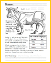 Bull Worksheet for Lower Elementary Bull Worksheet for Lower Elementary