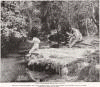 Famous Magnesium Creek, near Santa Fe