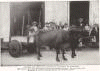 Ox-cart and Group of Natives in Outskirts of Marianao, Cuba