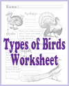 Types of Birds Worksheet Types of Birds Worksheet