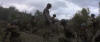 Scene from The Thin Red Line