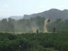 Winnowing in Afghanistan Winnowing in Afghanistan