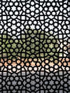 Elaborate latticework located on the grounds of Humayun's Tomb complex in India. Humayun's Tomb complex is a popular tourist destination in India. Elaborate Latticework at Humayun's Tomb in India