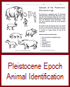 Pleistocene Animals PDF Worksheet Pleistocene Animals PDF Worksheet