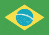 Brazilian Flag