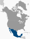Mexico Global Position Map