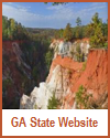 Georgia State Website