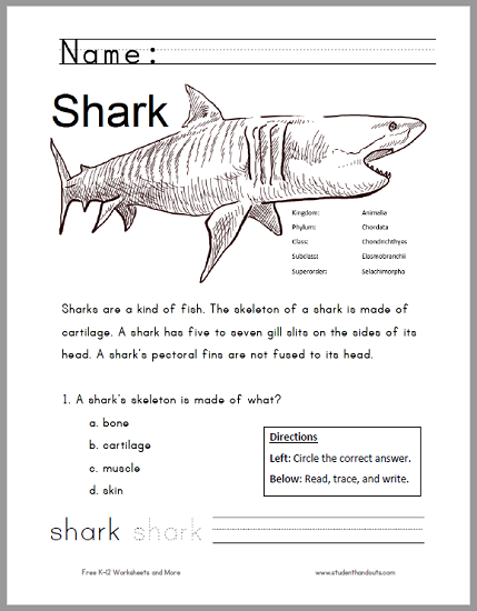 Free Printable Shark Worksheet for Grades 1-3 - Free to print (PDF file).