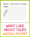 What I Like About Tulips Writing Prompt What I Like About Tulips Writing Prompt