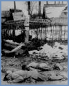 American Casualties of the Second World War
