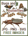 Butterflies, Bugs, and Insects - JPGs, PNGs, and SVGs Butterflies, Bugs, and Insects - JPGs, PNGs, and SVGs