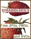 Strawberries - JPGs, PNGs, and SVGs - Strawberry Clip Art