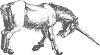 unicorn picture with transparent background