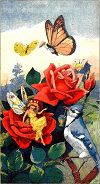 fairies, butterflies, and a bird among the flowers JPG PNG SVG