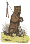 brown cat holding a red flag