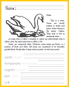 Swan Animal Classification Worksheet Swan Animal Classification Worksheet