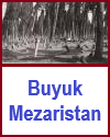 Buyuk Mezaristan, the World's Largest Muslim Cemetery