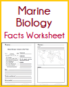 Marine Biology Fact Sheet DIY Infographic Worksheet