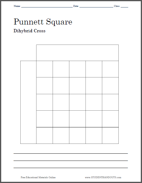 Punnett Square Dihybrid Cross - Worksheet is free to print (PDF file).