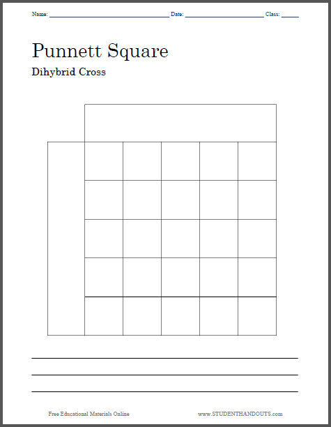 Punnett Square Dihybrid Cross Worksheet | Student Handouts