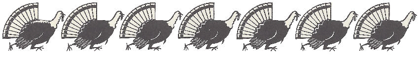 marching turkeys banner