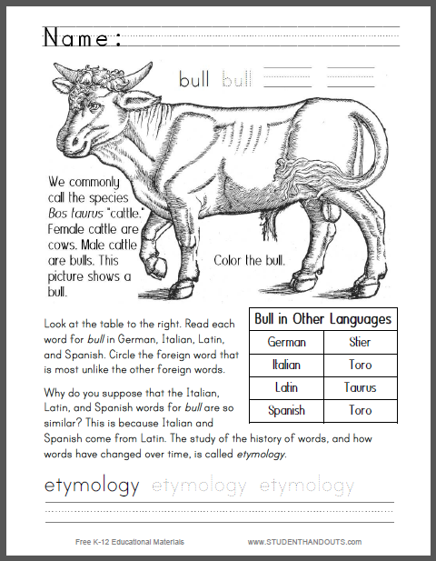 Bull Worksheet for Primary Students - Free to print (PDF file).