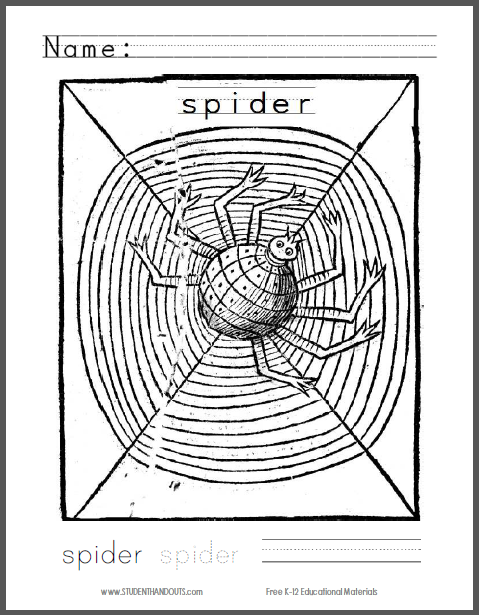 Spider Coloring Page for Kids - Free to print (PDF file).