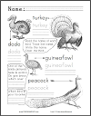 Types of Birds Worksheet