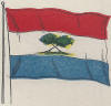 Flag of Paraguay, circa 1900