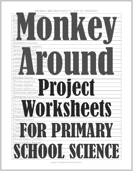 Monkey Around Project - Worksheets are free to print (PDF files) for lower elementary Science students.