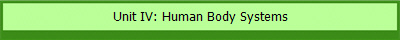 Unit IV: Human Body Systems