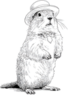 groundhog wearing a hat