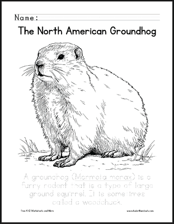 North American Groundhog Coloring Page