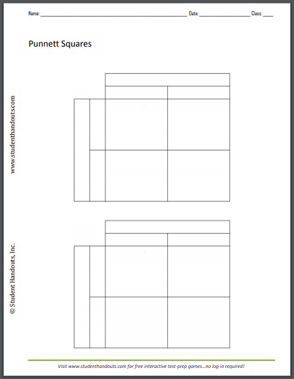 Monohybrid Cross Punnett Square Worksheet - Free to print (PDF file).