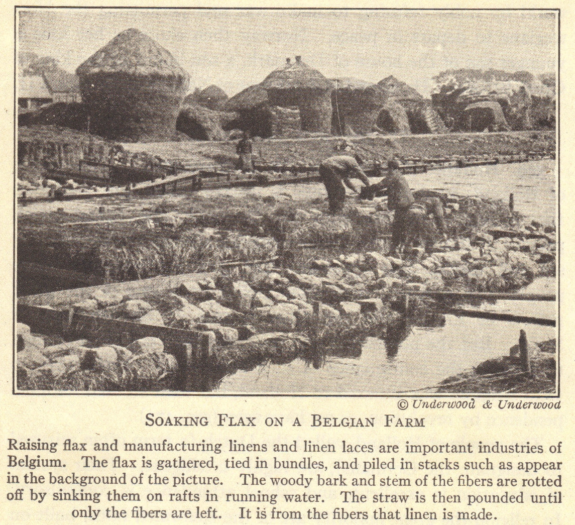 Soaking Flax on a Belgian Farm