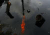 A gas flare is reflected in an oil waste put in the Amazon rainforest of Ecuador.