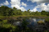 One of the hundreds of oil waste pits that dot the landscape in the Amazon rainforest of Ecuador.