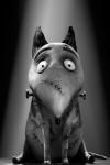 Sparky (Frankenweenie, 2012)