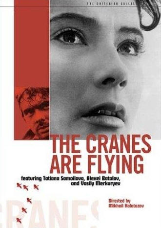 The Cranes Are Flying (1957) - Movie Review for History Teachers