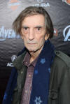 Harry Dean Stanton at the Premiere of The Avengers