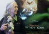 Chimpanzee Expert Jane Goodall
