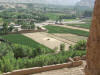 Afghani Farmlands