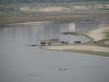 Yamuna River