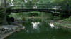 Bridge at the Lafayette Park Grotto