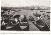 Bobbing Boats of the Golden Horn, Turkey