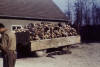 Nazi Victims at Buchenwald, April, 1945