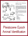 Pleistocene Animal ID Worksheet
