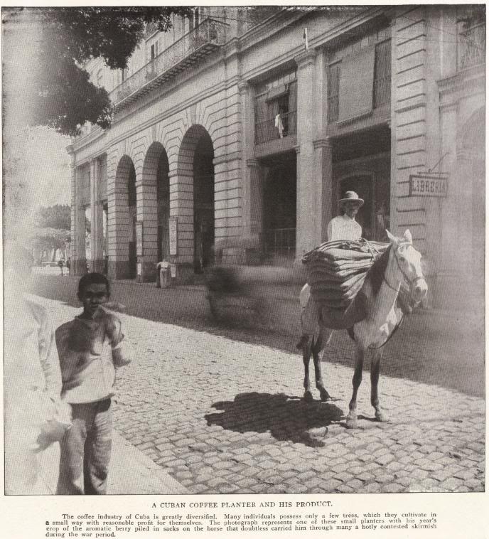 A CUBAN COFFEE PLANTER AND HIS PRODUCT: The coffee industry of Cuba is greatly diversified. Many individuals possess only a few trees, which they cultivate in a small way with reasonable profit for themselves. The photograph represents one of these small planters with his year's crop of the aromatic berry piled in sacks on the horse that doubtless carried him through many a hotly contested skirmish during the war period.