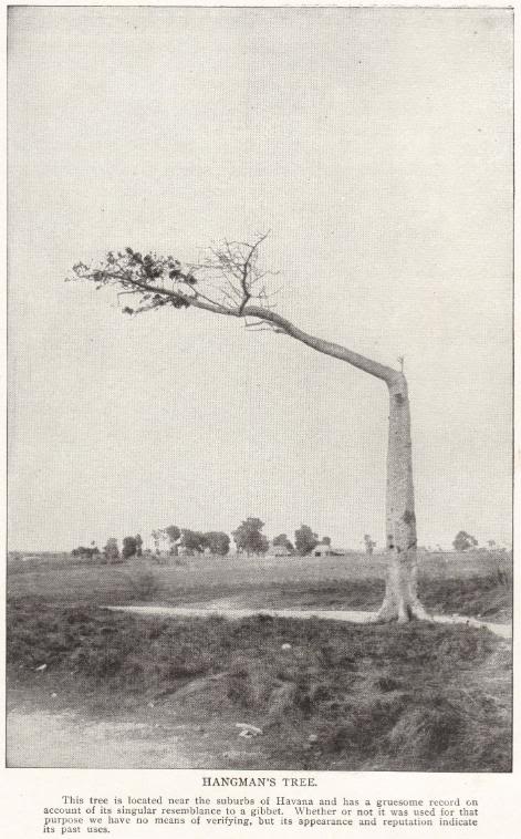 THE HANGMAN'S TREE, CUBA (1898)